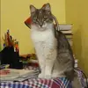 Отзыв от Галя Островская